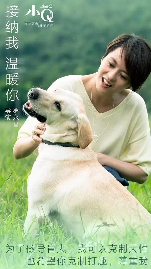 仿制名古屋经济大学毕业证